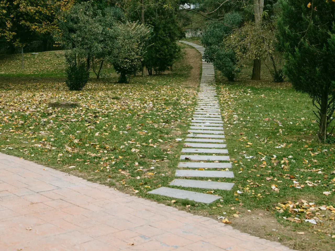 Camino de baldosas rectangulares en jardín